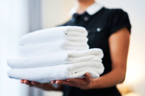 House cleaning and maid service in Charleston SC